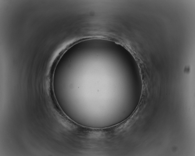 X0000102350342200808081159