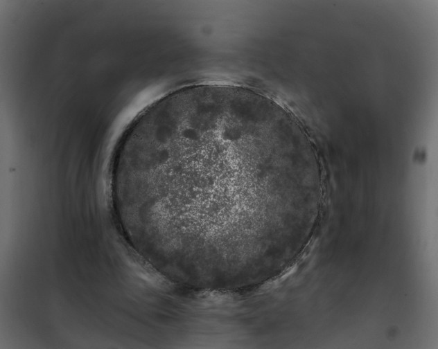 X0000102350343200808081159