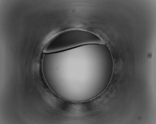 X0000102350344200808081159