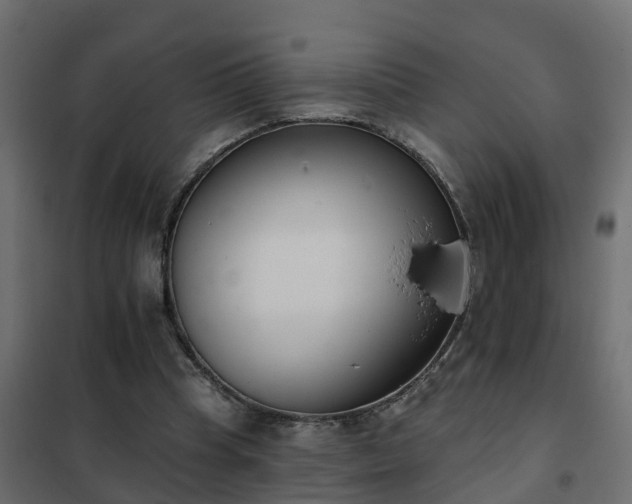 X0000102350345200808081159