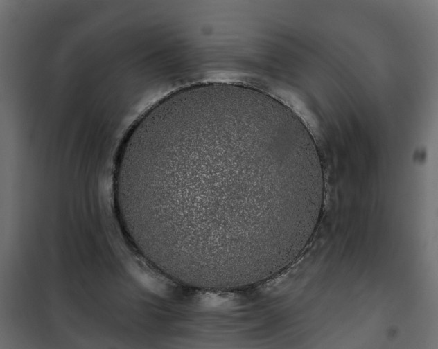 X0000102350346200808081159