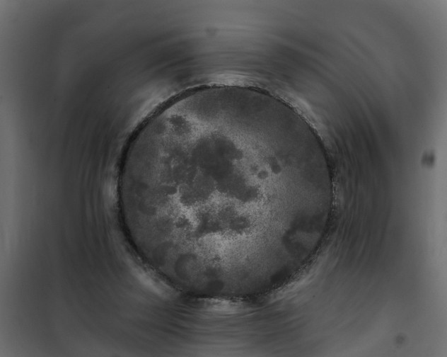 X0000102350347200808081159