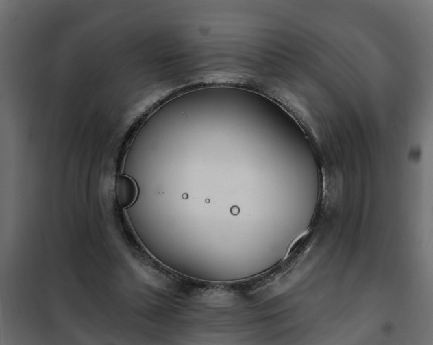 X0000102350348200808081159