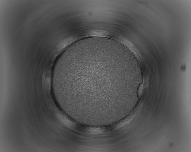 X0000102350349200808081159