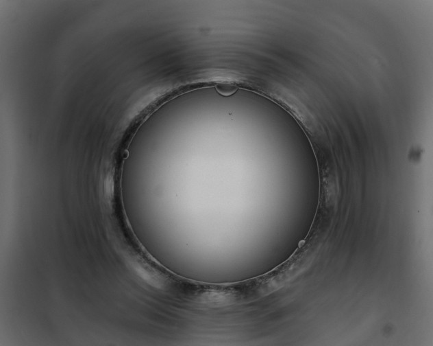 X0000102350350200808081159