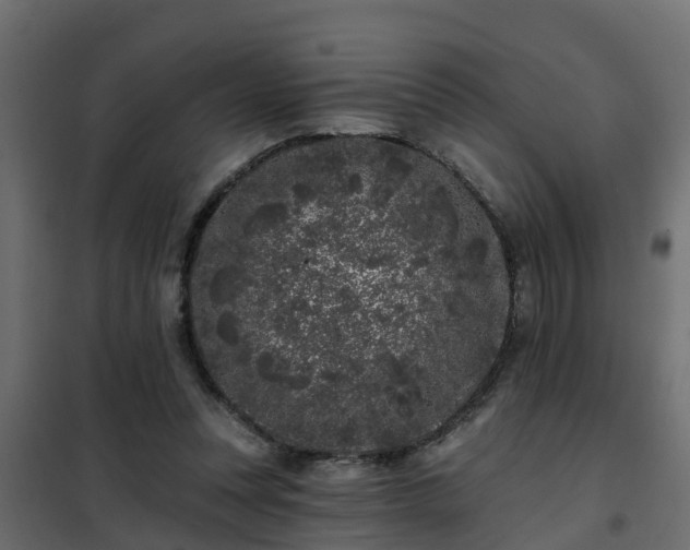 X0000102350351200808081159