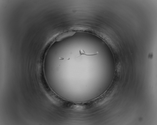 X0000102350352200808081159