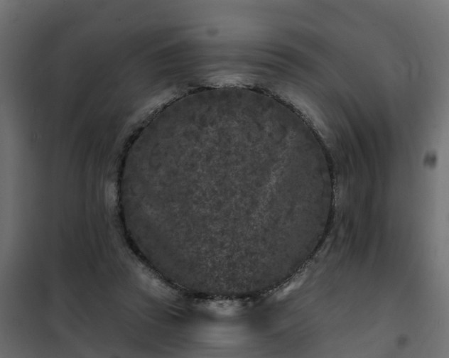 X0000102350353200808081159