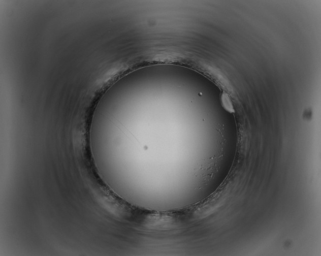 X0000102350354200808081159