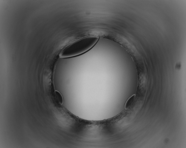 X0000102350356200808081159