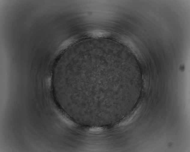 X0000102350357200808081159