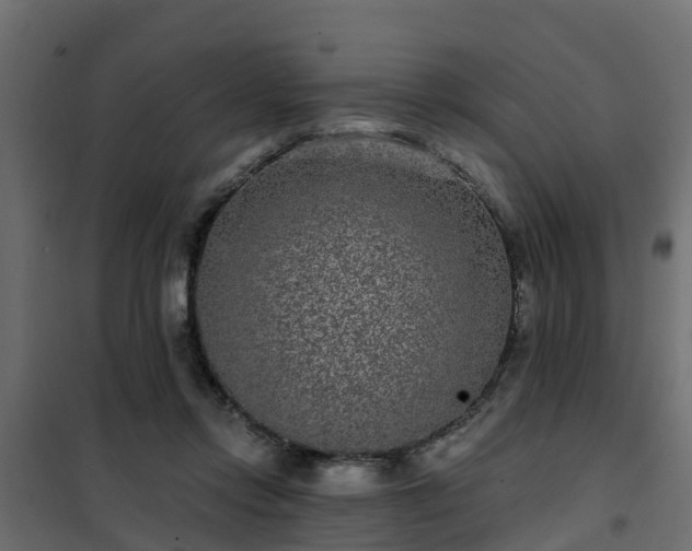 X0000102350358200808081159