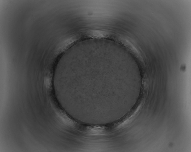 X0000102350359200808081159