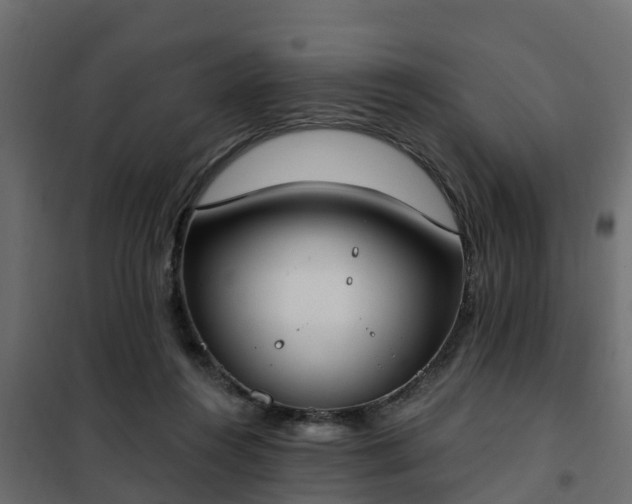 X0000102350360200808081200