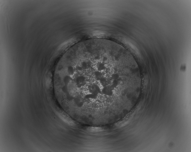 X0000102350361200808081200