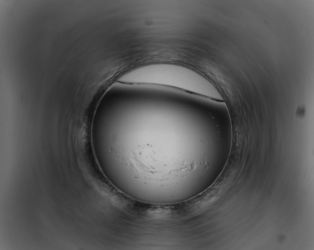 X0000102350362200808081200