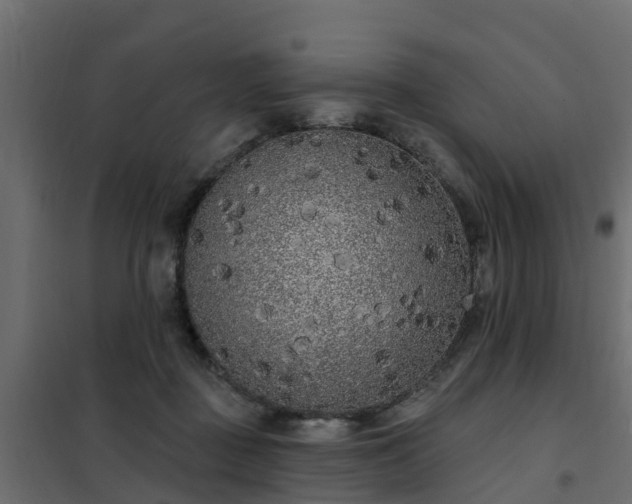 X0000102350363200808081200