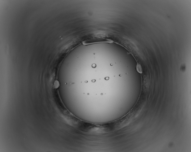 X0000102350364200808081200