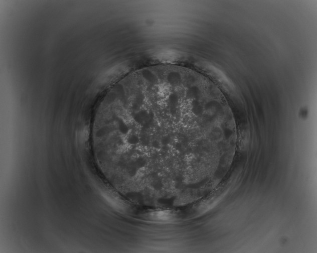 X0000102350365200808081200