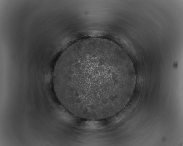 X0000102350367200808081200