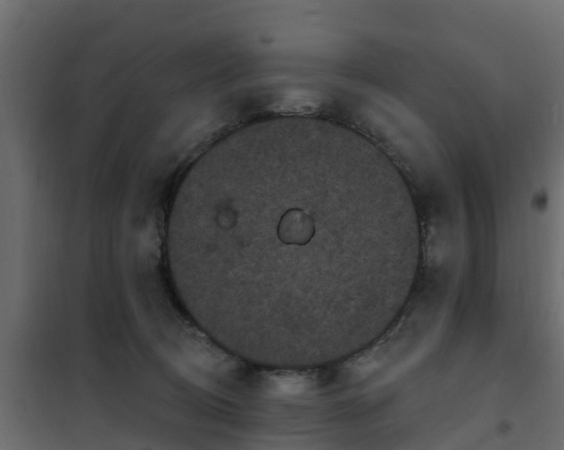 X0000102350370200808081200