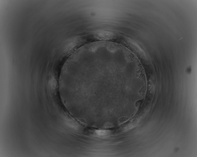 X0000102350371200808081200