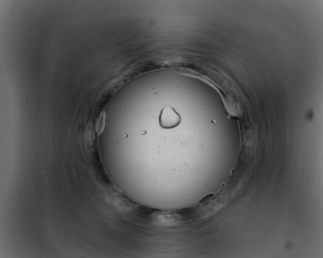 X0000102350372200808081200