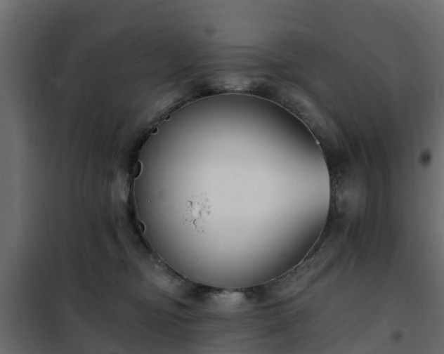 X0000102350374200808081200