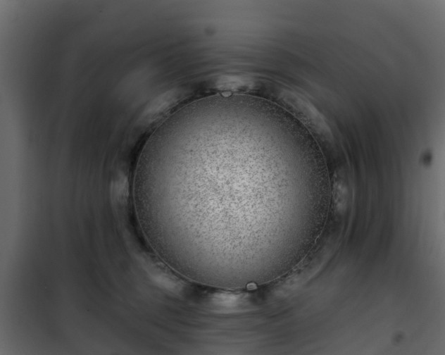 X0000102350375200808081200