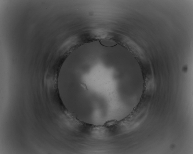 X0000102350376200808081200