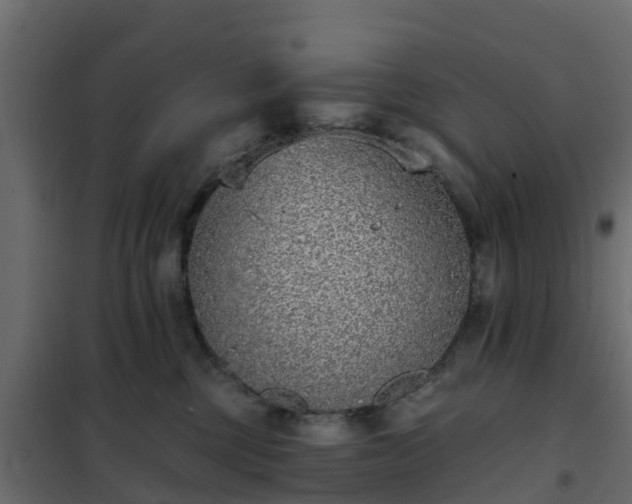 X0000102350377200808081200