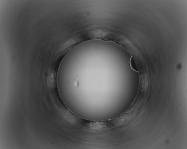 X0000102350378200808081200