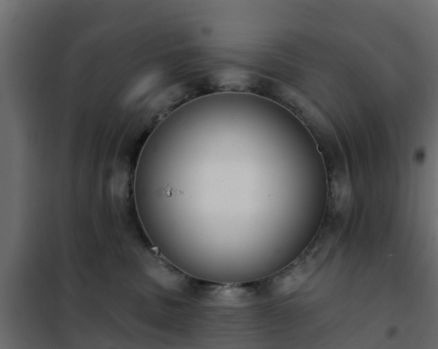 X0000102350379200808081200