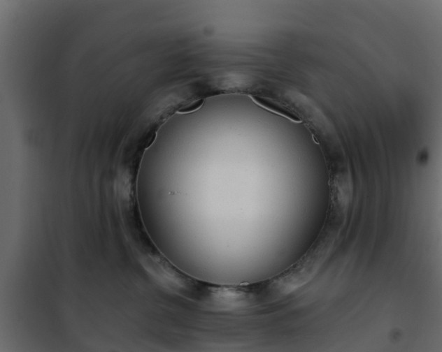 X0000102350380200808081200