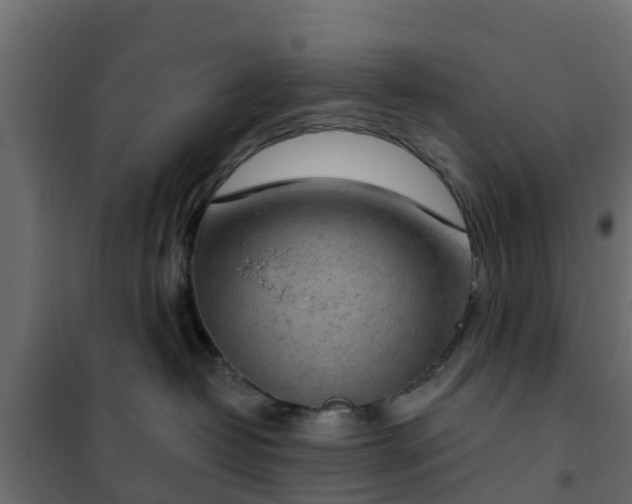 X0000102350382200808081200