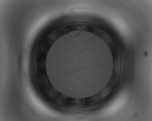 X0000102350383200808081200