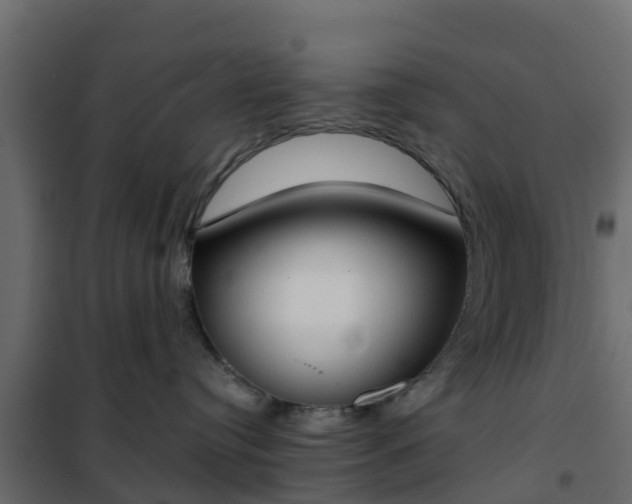 X0000102350384200808081200