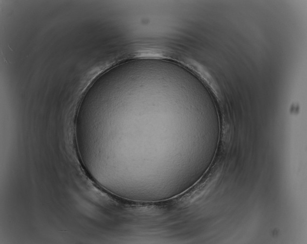 X0000102350385200808081159