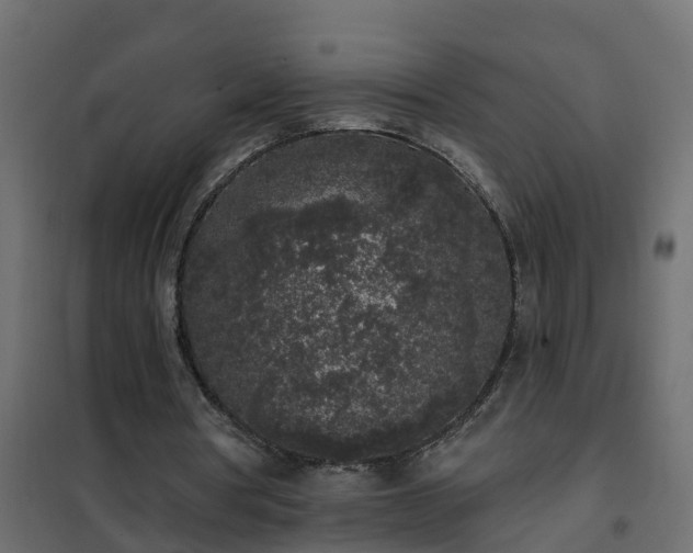 X0000102350386200808081159