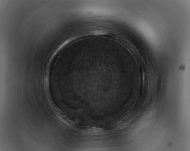 X0000102350387200808081159