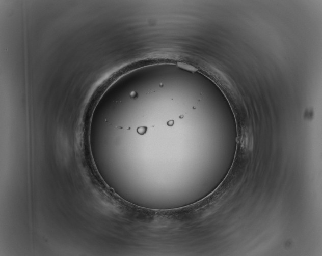 X0000102350388200808081159