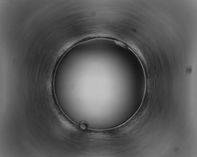 X0000102350389200808081159