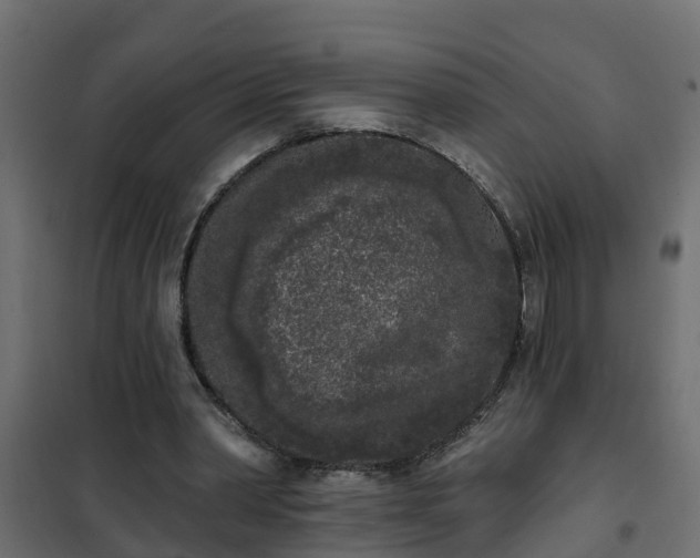 X0000102350390200808081159