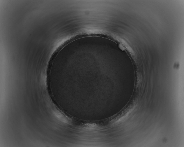 X0000102350391200808081159