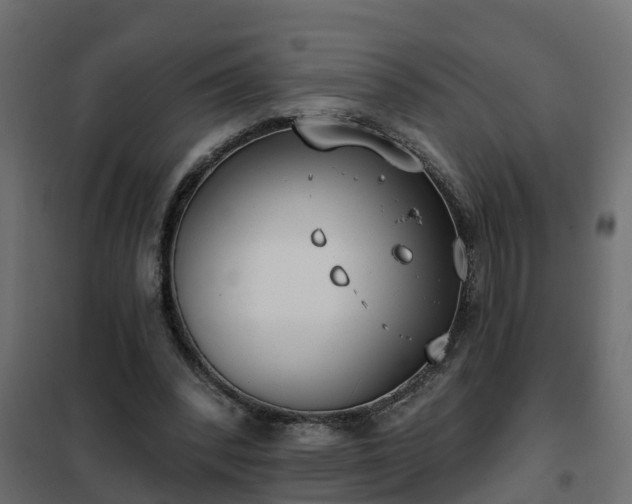 X0000102350392200808081159