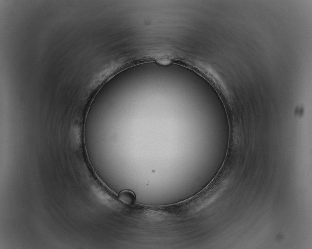 X0000102350393200808081159