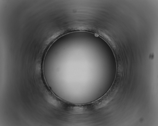 X0000102350394200808081159