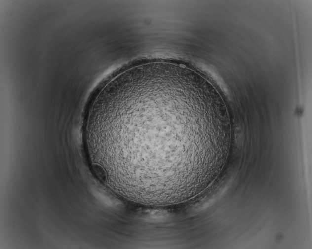 X0000102350395200808081159