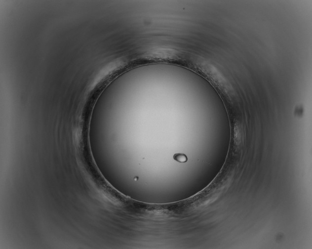 X0000102350396200808081159