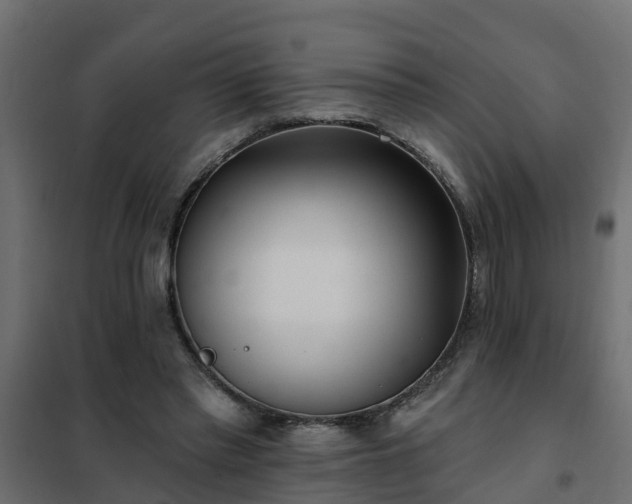 X0000102350397200808081159